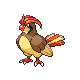 017pidgeotto.png
