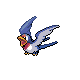 276taillow.png